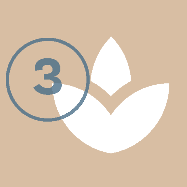 An outline of a lotus plant with the number three